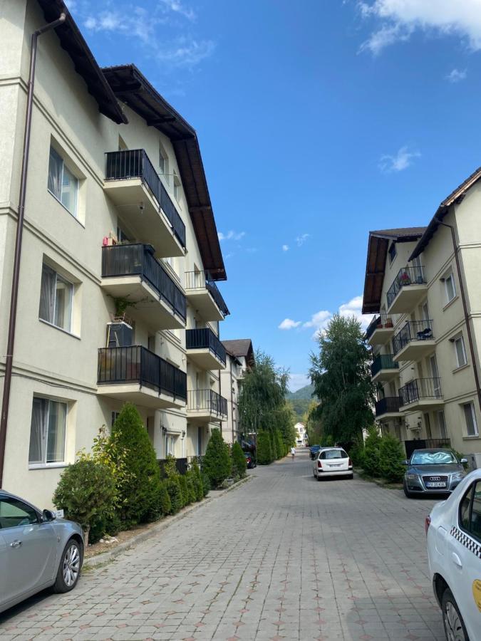 Wanderlust Home Cream, Rasnov Apt For 4, Wifi And Free Parking المظهر الخارجي الصورة