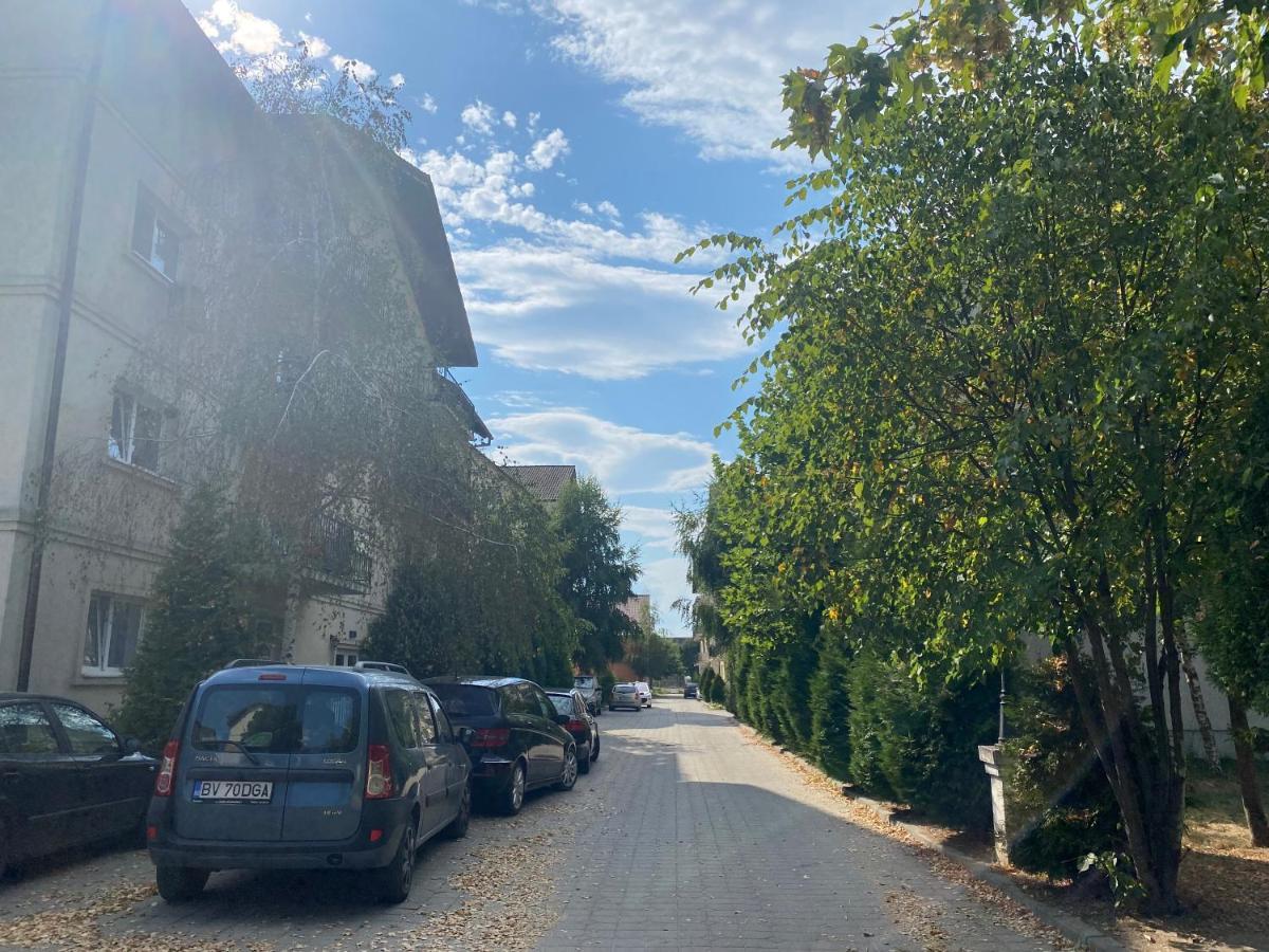 Wanderlust Home Cream, Rasnov Apt For 4, Wifi And Free Parking المظهر الخارجي الصورة